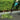 M_DUB186SFX1_11761.jpeg (26644861)