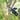 M_DUC150ZJ_8460.jpeg (26643965)