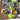 DCG409NT-XJ_9345.jpeg (26644660)