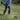 EM2650LH_9602.jpeg (26639986)