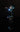 M_DHP489RTJ_11496.jpeg (26645723)