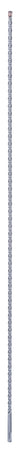 2608597122_2756.jpeg (26634749)