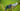 06008B3101_7662.jpeg (26631767)