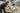 06015A1001_7890.jpeg (26631968)