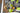 DCG409NT-XJ_9345.jpeg (26644660)