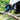 M_DUC101ZJ_9542.jpeg (26644011)
