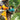 M_UC002GZ_9756.jpeg (26641032)