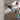 M_HP2051F_9839.jpeg (26645715)
